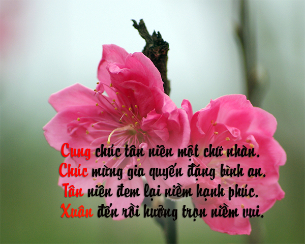 Tet_03